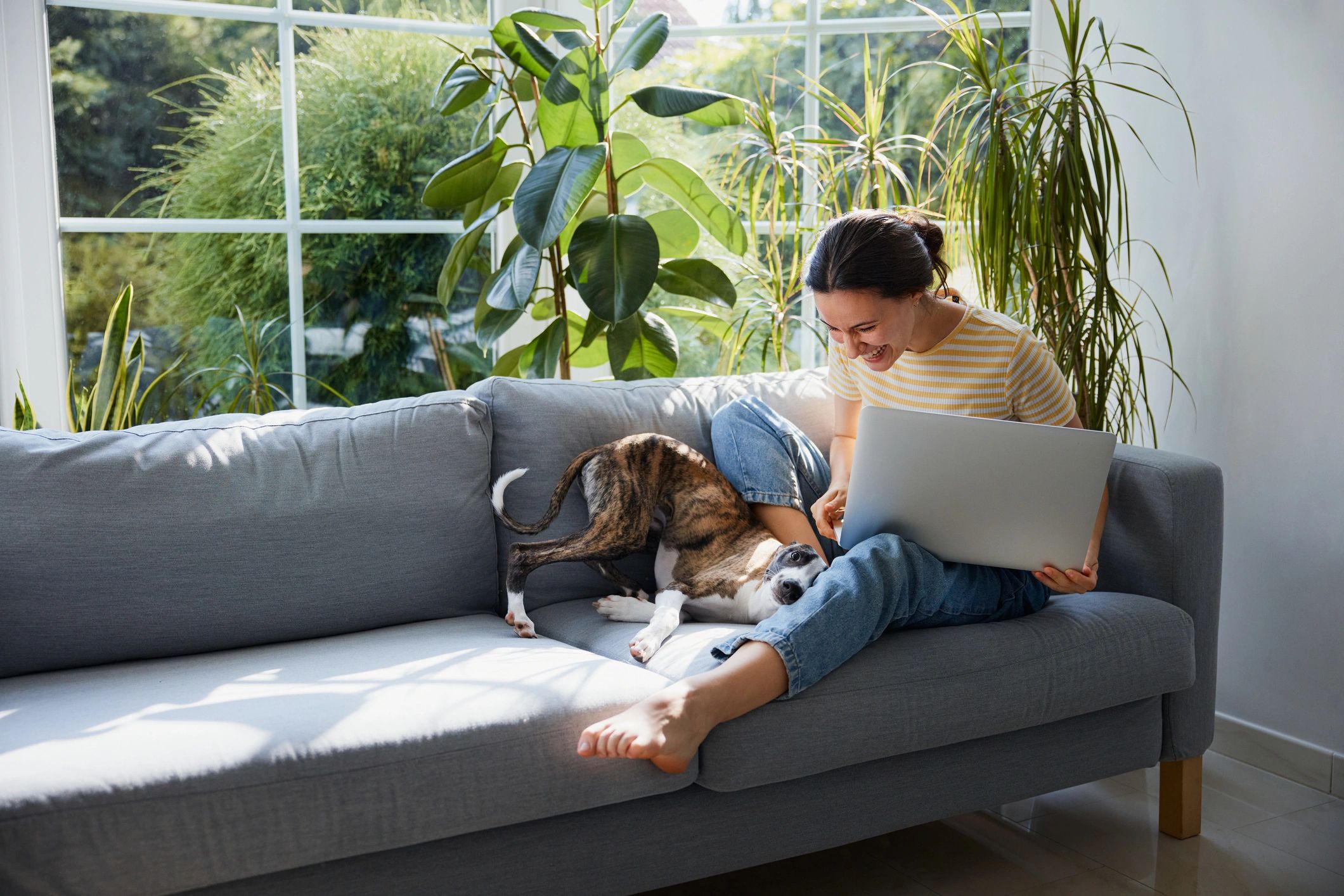 Pet care writer working from home with a puppy