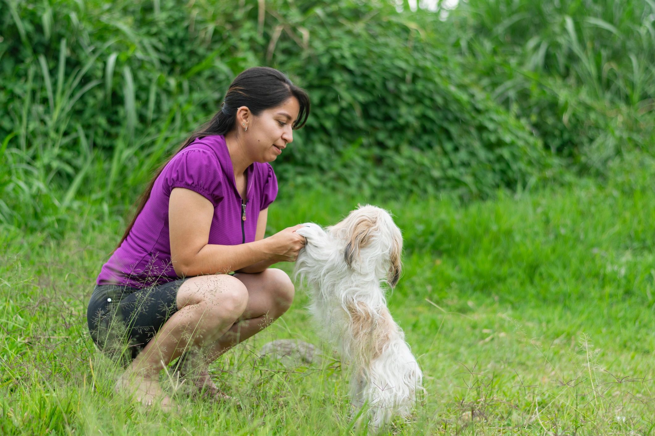 Pet owner smiling and playing with a small dog outdoors